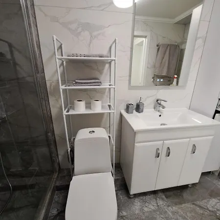Decebal Apartment *